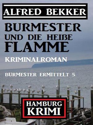 cover image of Burmester und die heiße Flamme